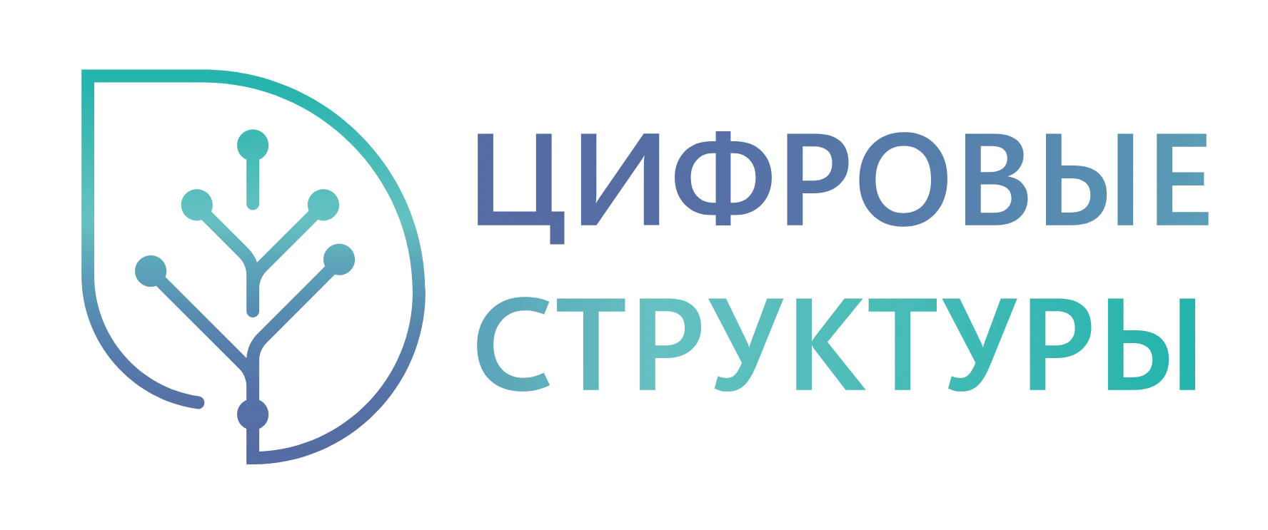 Цифровые структуры